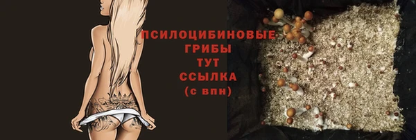 гашик Балабаново
